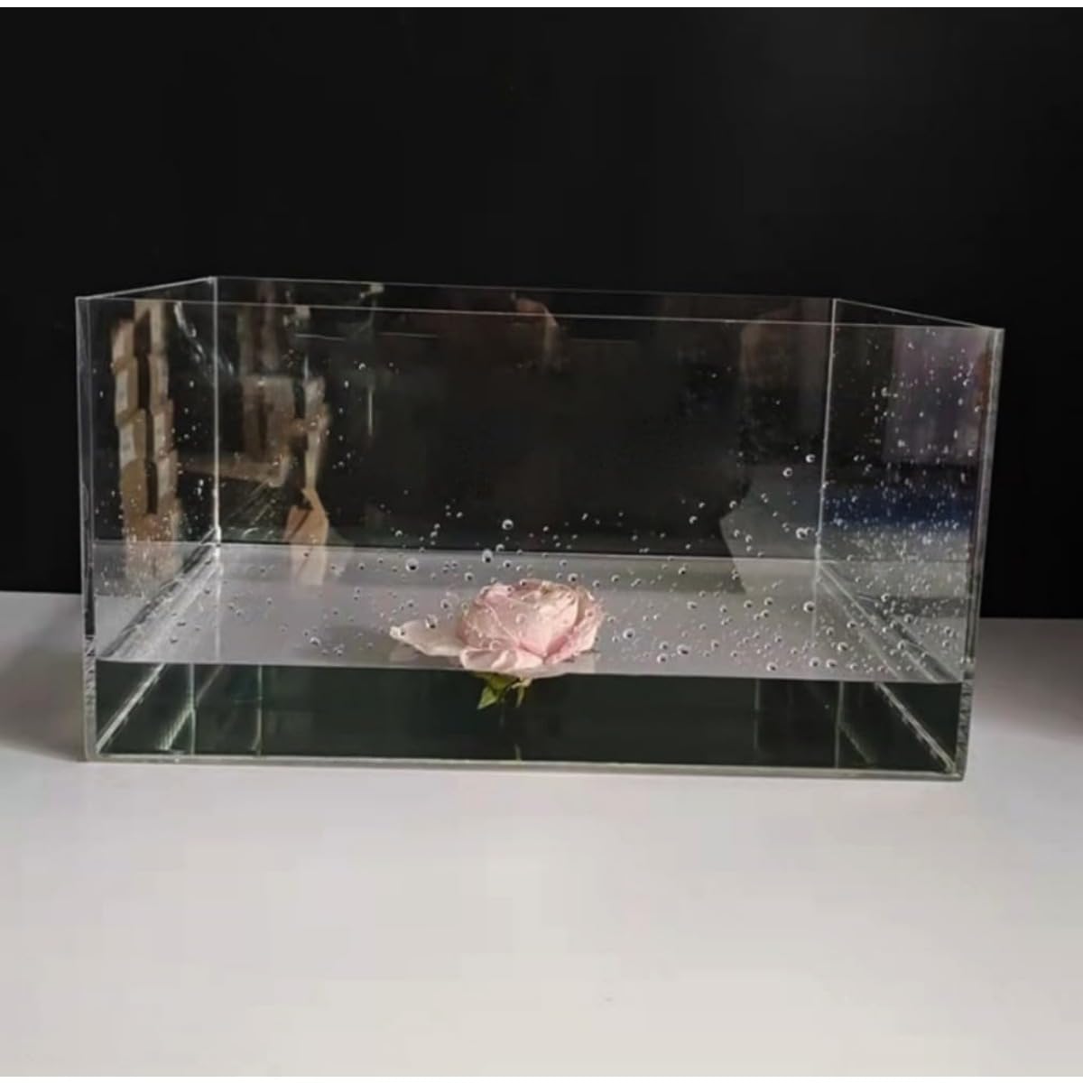Amazon | FiveLn 写真撮影用トレー 透明な浅瀬の水槽、アクリル